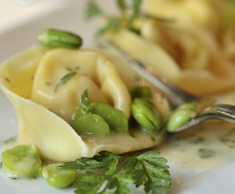 tortelli